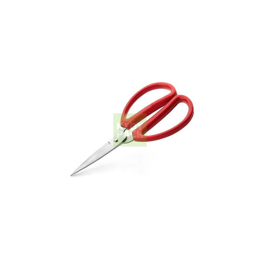 Ciseau de cuisine