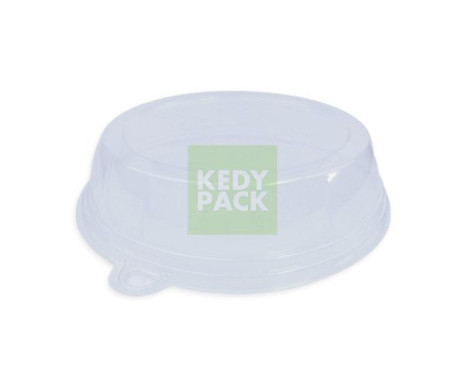 Assiette Rigide en Plastique