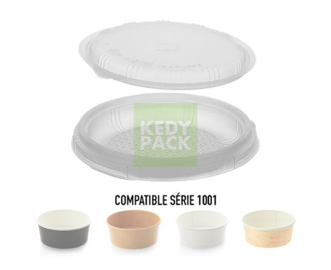 Insert pour BOL1001 VENDU SEPAREMENT