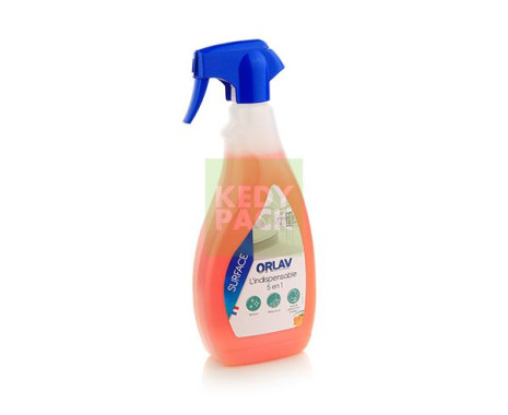 Nettoyant TAMIZ multi sur. pro 5 en 1