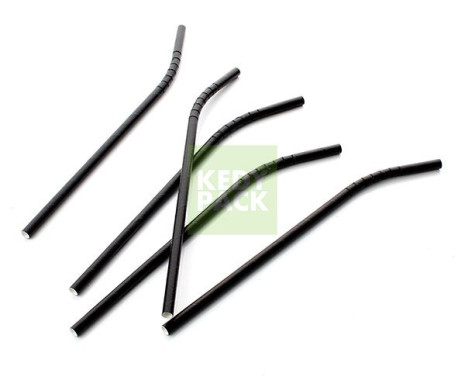 Paille en carton Noir flexible