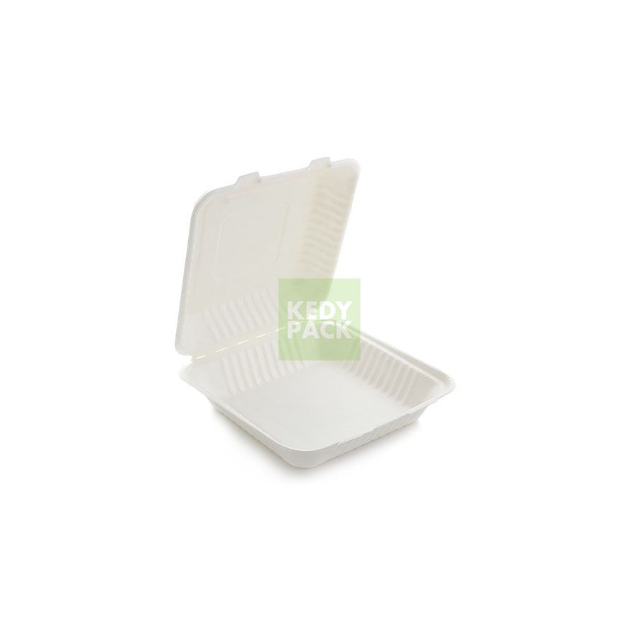 Coquille carré en pulpe de canne