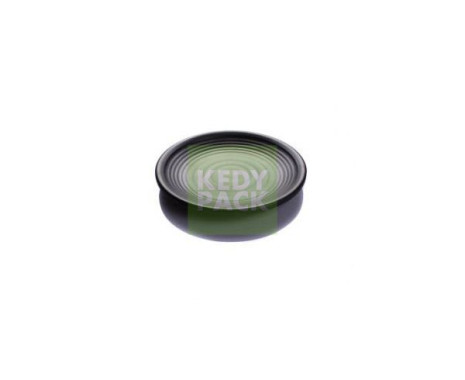 Assiette plastique ronde réutilisable