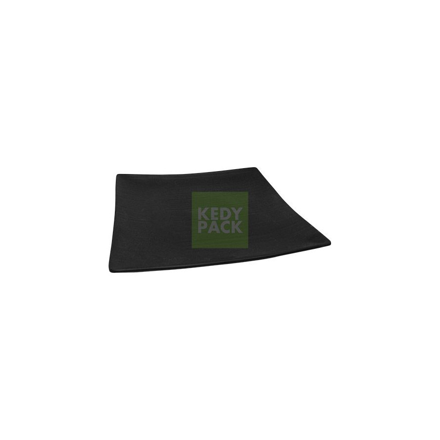 Assiettes en plastique réutilisable