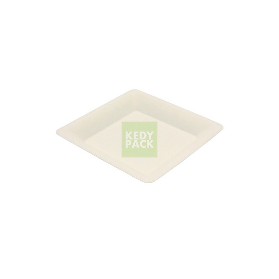 Assiette bepulp carre