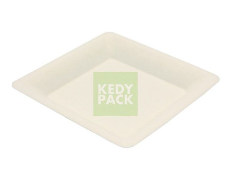 Assiette bepulp carre