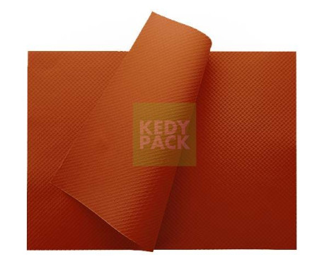 Set Table Papier 30x40 cm Couleur vive