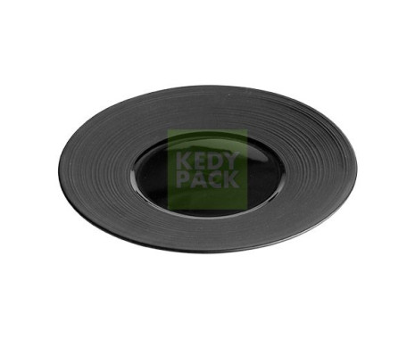 Assiette en plastique réutilisable