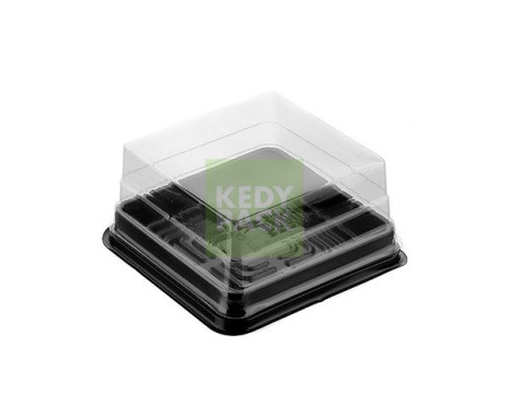 barquette noir plastique