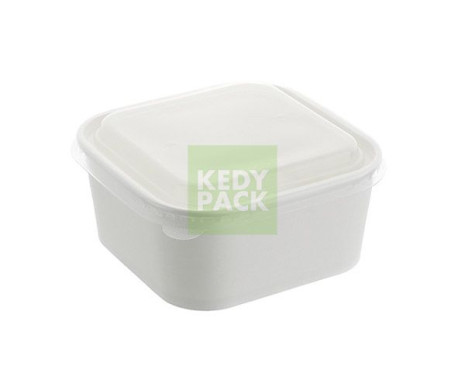 Boîte en Carton+couvercle PP-BLANC