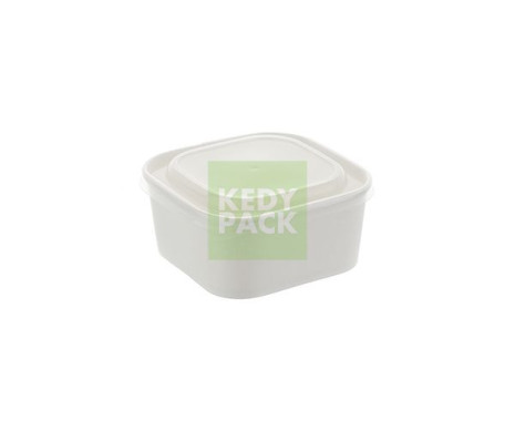 Boîte en Carton+couvercle PP-BLANC
