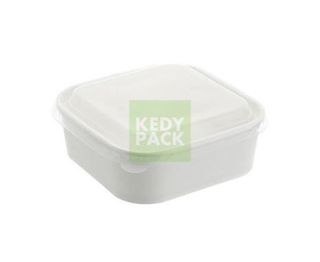 Boîte en Carton+couvercle PP-BLANC
