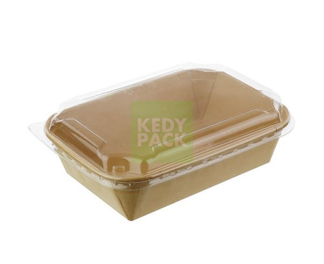 Barquette Rectangulaire en Carton PET