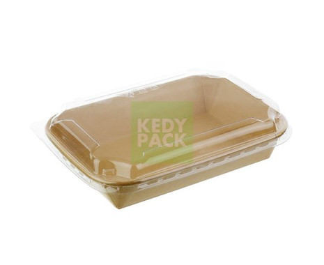 Barquette Rectangulaire en Carton PET