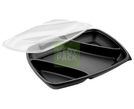 Barquette rectangle nor