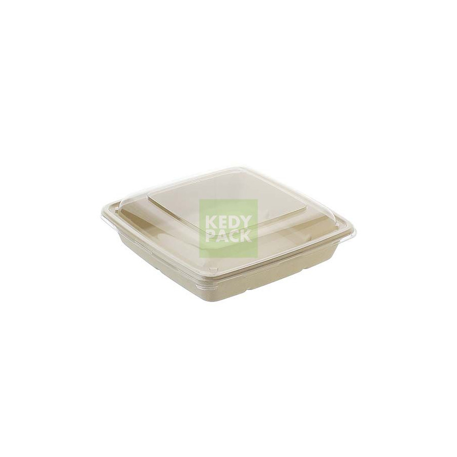 Barquette carre en pulpe PET