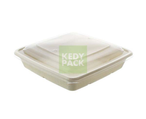 Barquette carre en pulpe PP